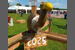 Bild 013